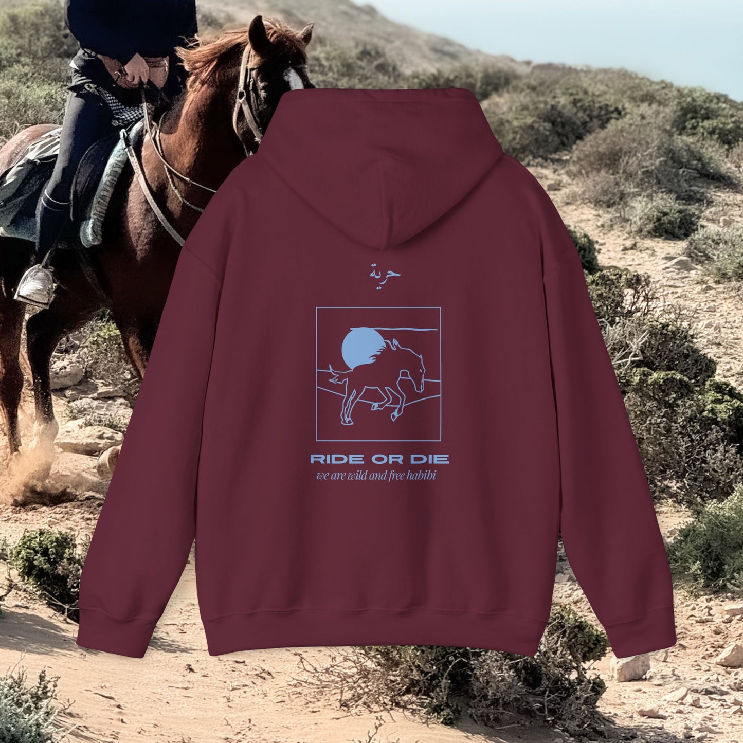 Hoodie RIDE OR DIE