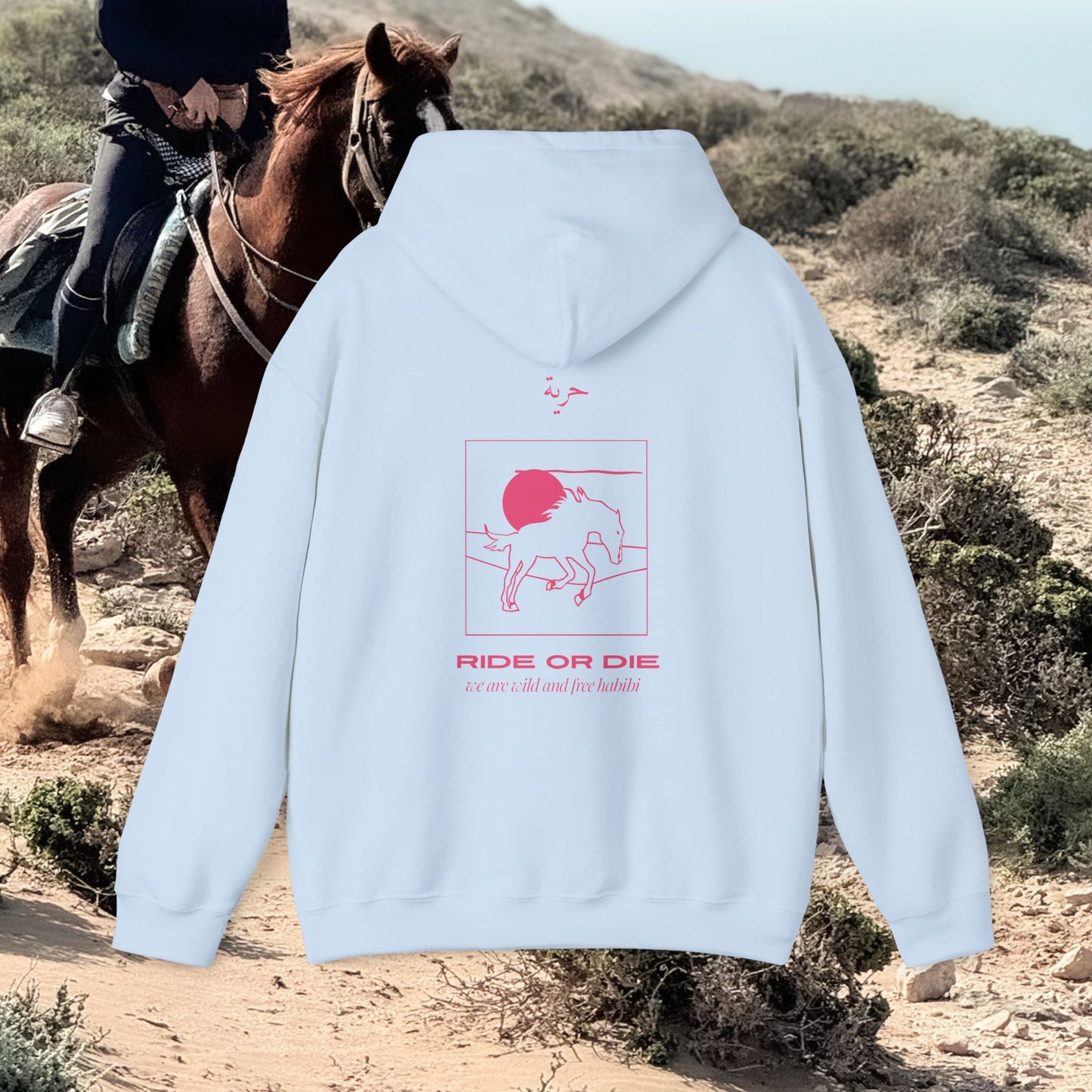 Hoodie RIDE OR DIE