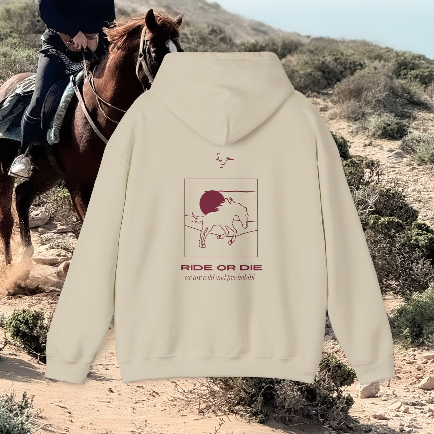 Hoodie RIDE OR DIE